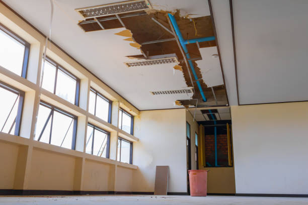 Best Basement water damage restoration  in Wilder, ID