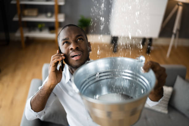 Best Carpet water damage restoration  in Wilder, ID