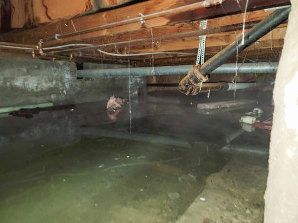 Trusted Wilder, ID Water damage restoration Experts