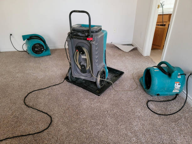 Best Commercial water damage restoration  in Wilder, ID