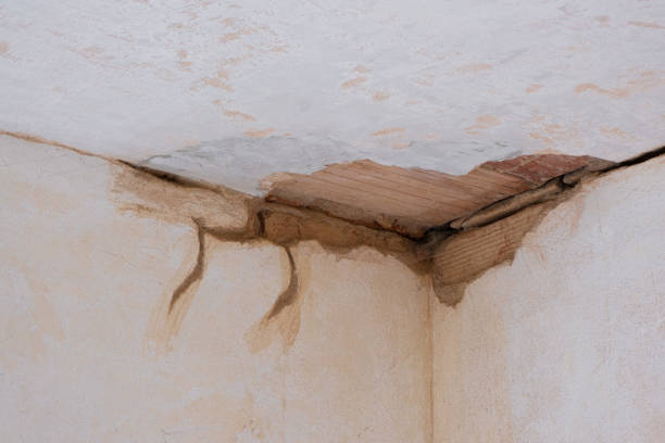 Best Sewage cleanup and water damage restoration  in Wilder, ID
