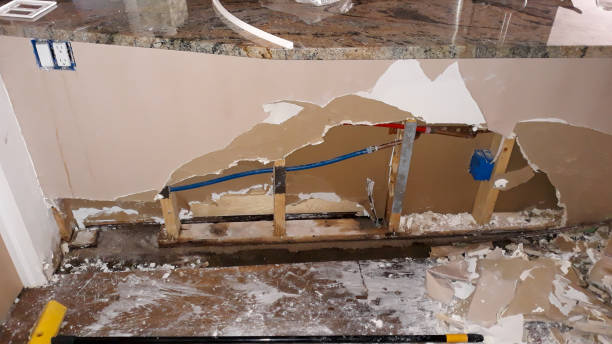 Best 24/7 water damage repair  in Wilder, ID