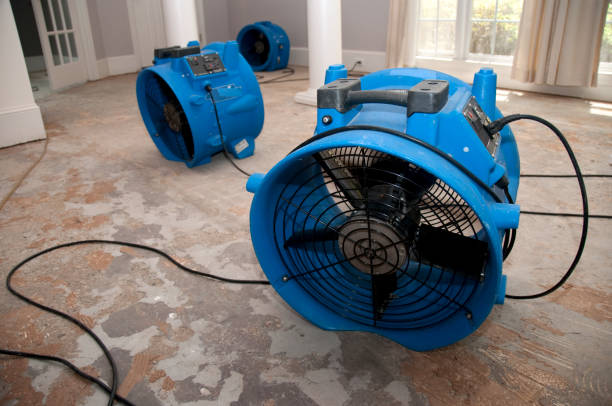 Best Carpet water damage restoration  in Wilder, ID