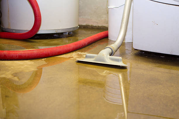 Carpet water damage restoration in Wilder, ID
