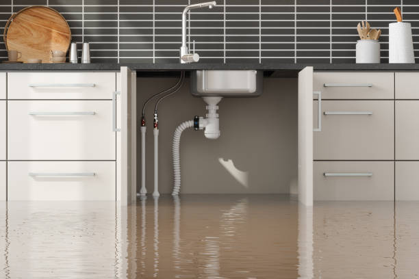 Best Flood restoration services  in Wilder, ID