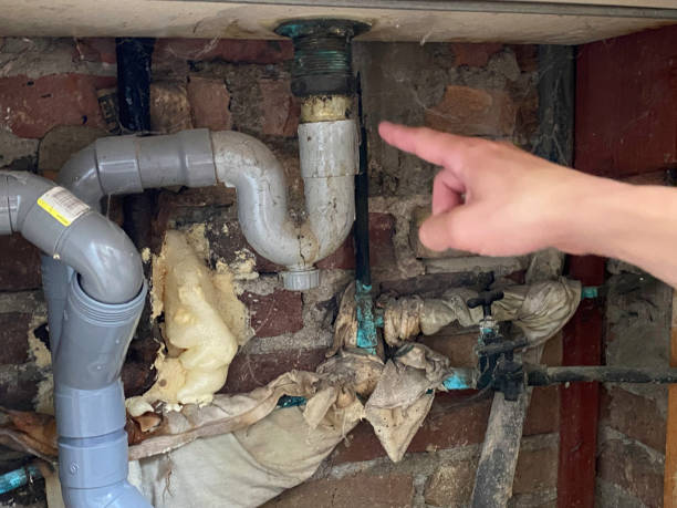 Best Basement water damage restoration  in Wilder, ID
